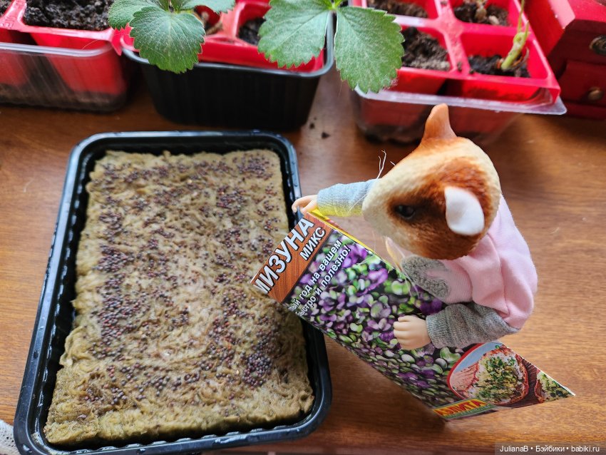 Натто? Дарвин — Разные шарнирные куклы (не БЖД): редкие (фото 3)