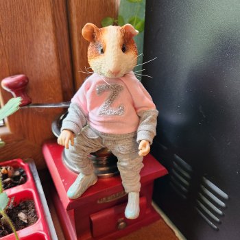 Натто? Дарвин?