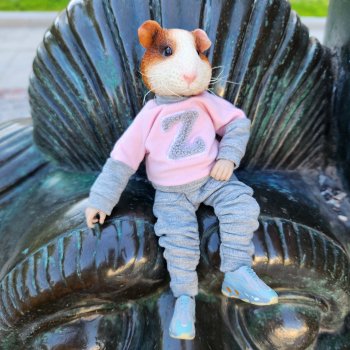 Дарвин в городе