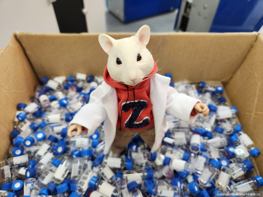 Мышь лабораторная. Перезагрузка