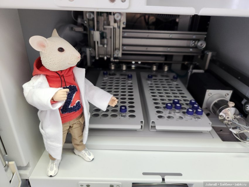 Мышь лабораторная. Перезагрузка