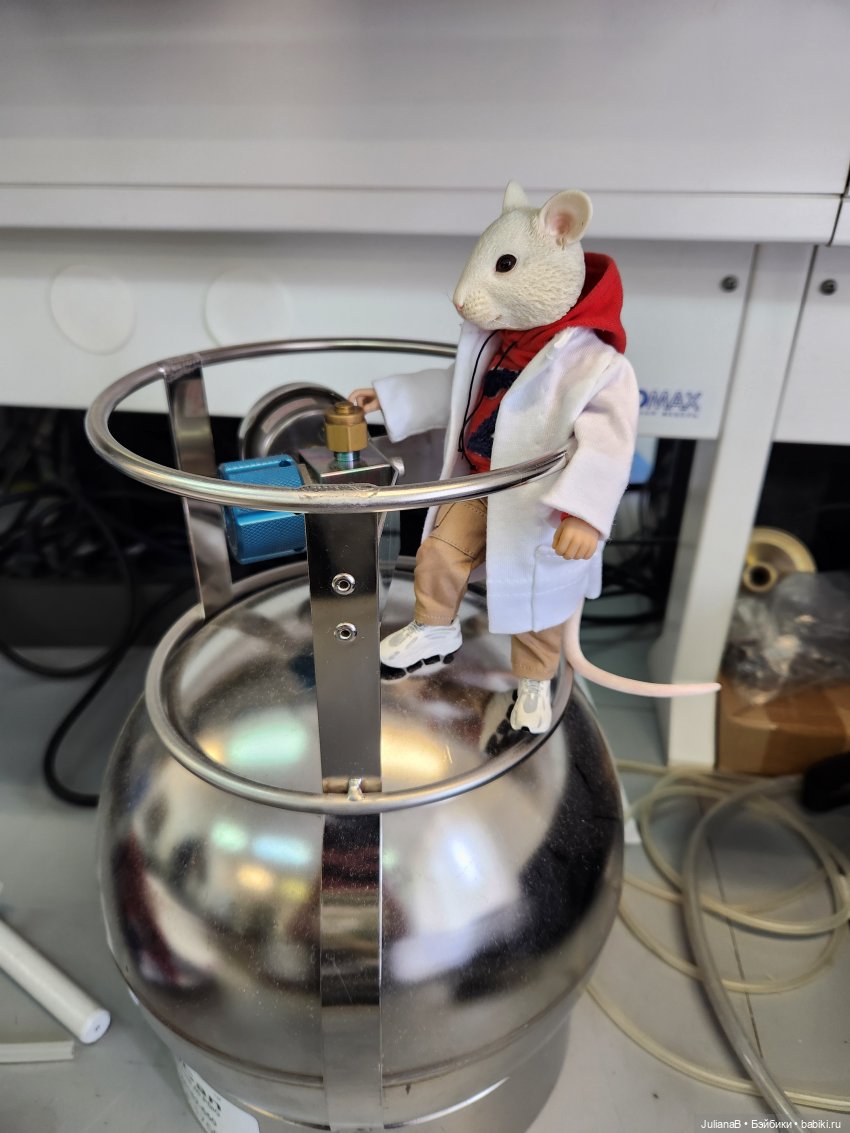 Мышь лабораторная. Перезагрузка (фото 9)