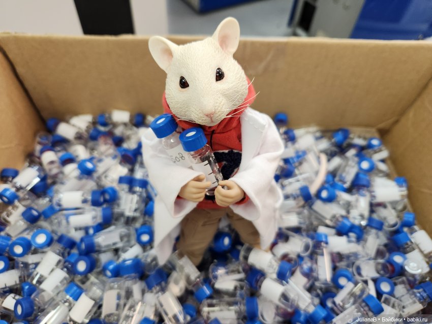Мышь лабораторная. Перезагрузка