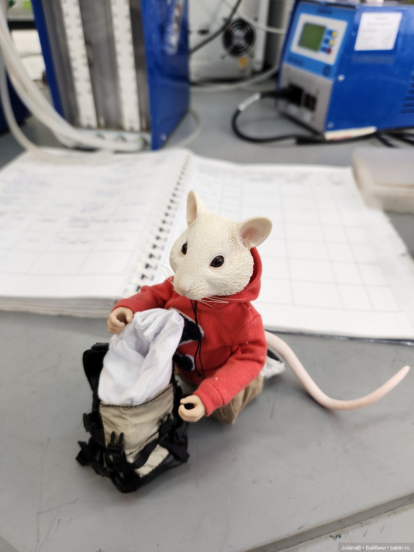 Мышь лабораторная. Перезагрузка (фото 4)