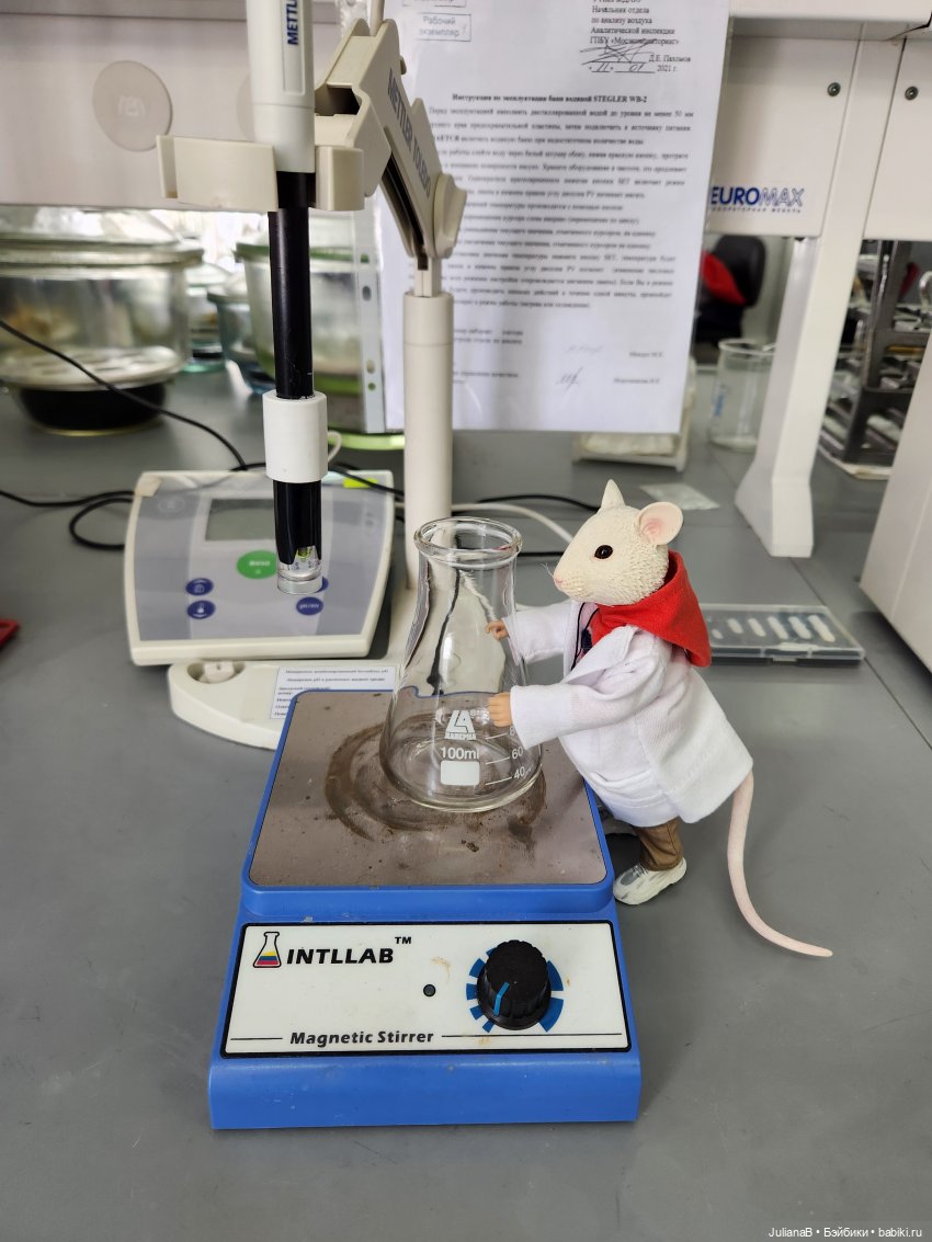 Мышь лабораторная. Перезагрузка