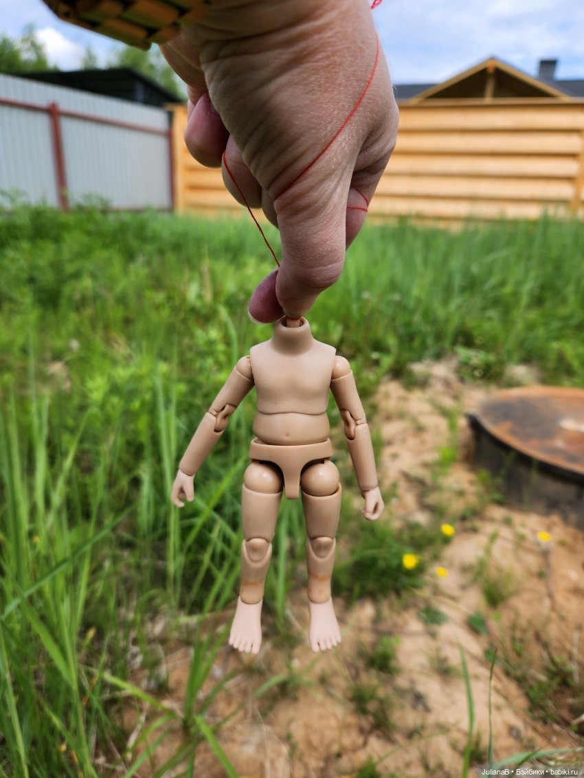 Из серии "будни очУмелого гибридизатора" (фото 4)