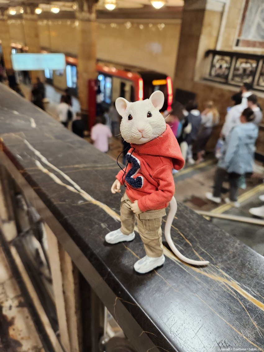 Мышь лабораторная. Будни учёного мыша (фото 2)