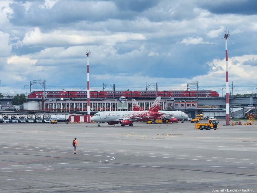 Мышь лабораторная. Кольский полуостров (фото 10)