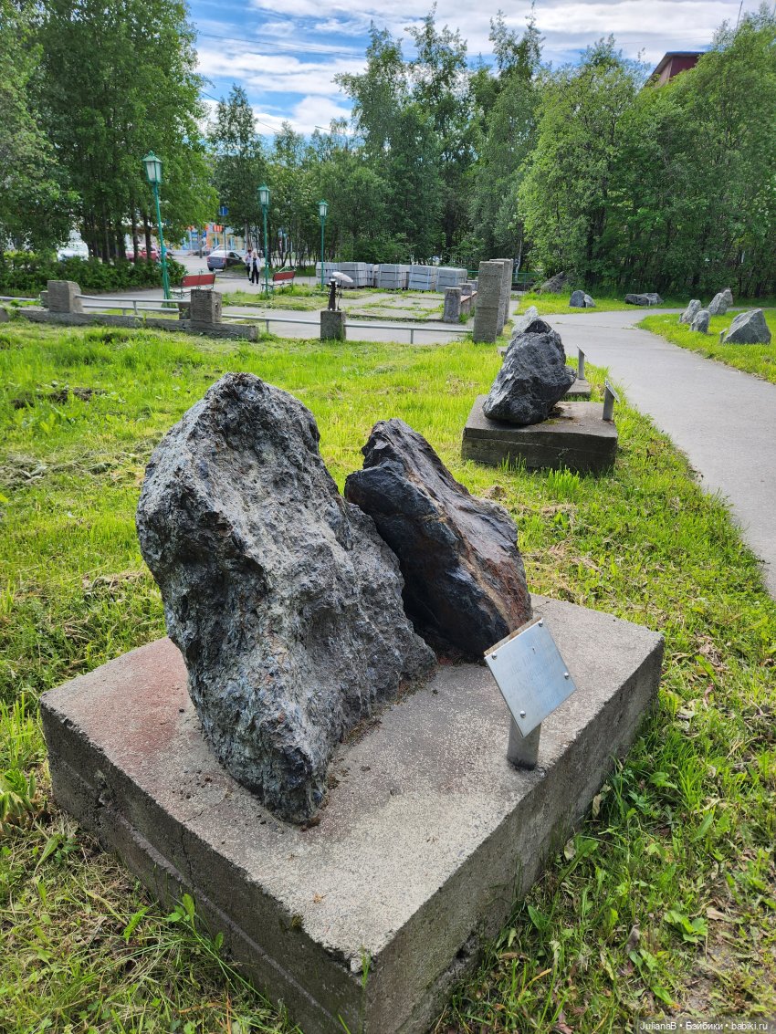 Мышь лабораторная. Кольский полуостров