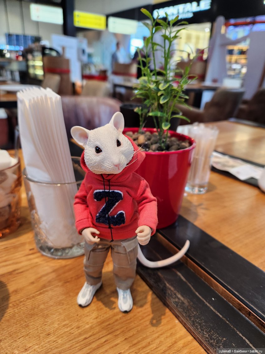 Мышь лабораторная. Кольский полуостров (фото 6)