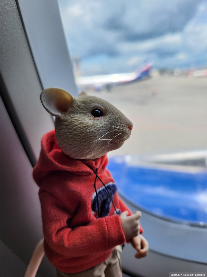 Мышь лабораторная. Кольский полуостров (фото 9)