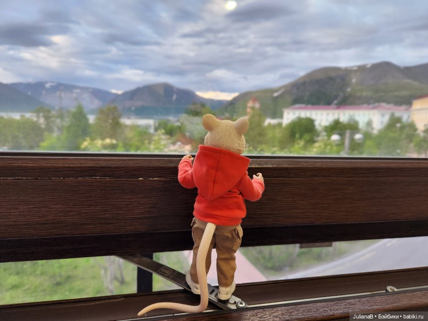 Мышь лабораторная. Кольский полуостров