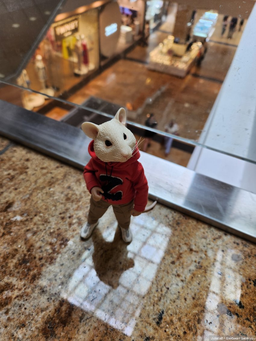 Мышь лабораторная. Кольский полуостров (фото 3)