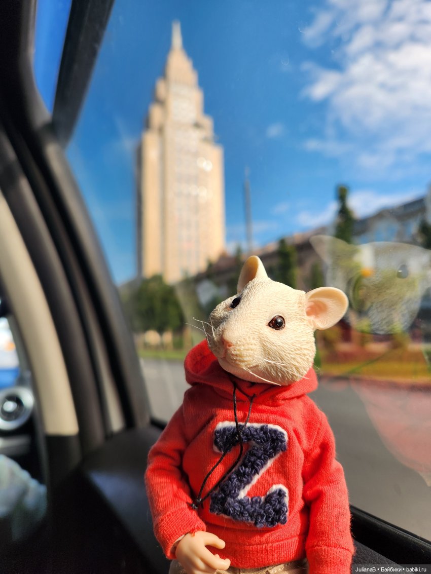 Мышь лабораторная. Кольский полуостров (фото 5)