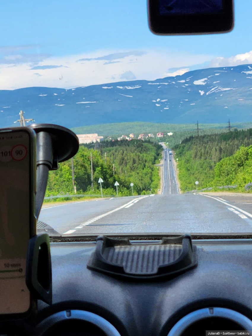 Мышь лабораторная. Кольский полуостров