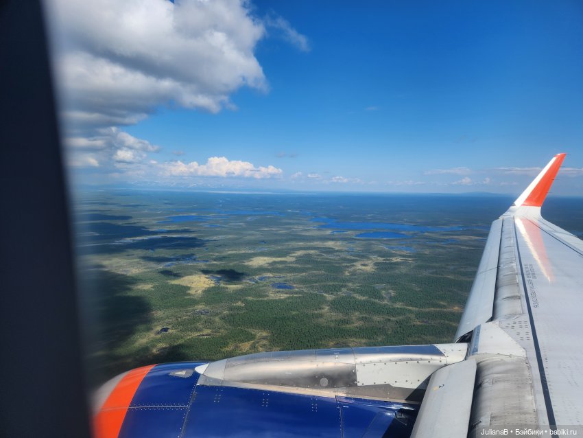 Мышь лабораторная. Кольский полуостров