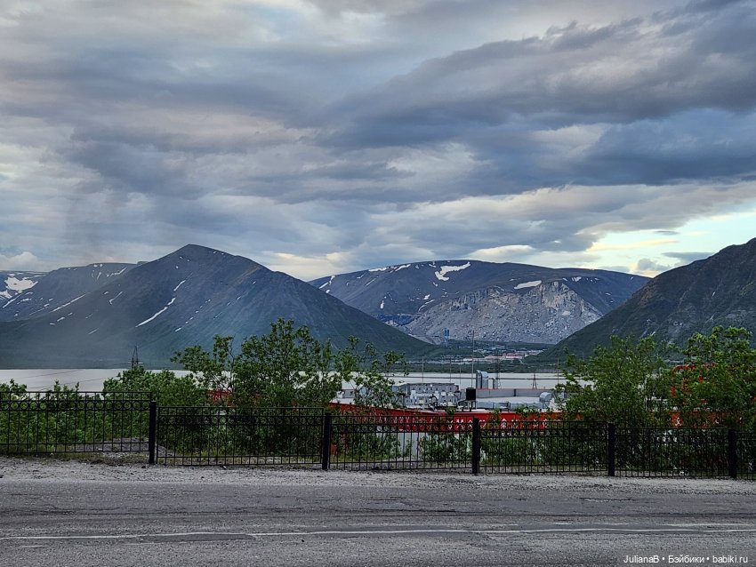 Мышь лабораторная. Кольский полуостров