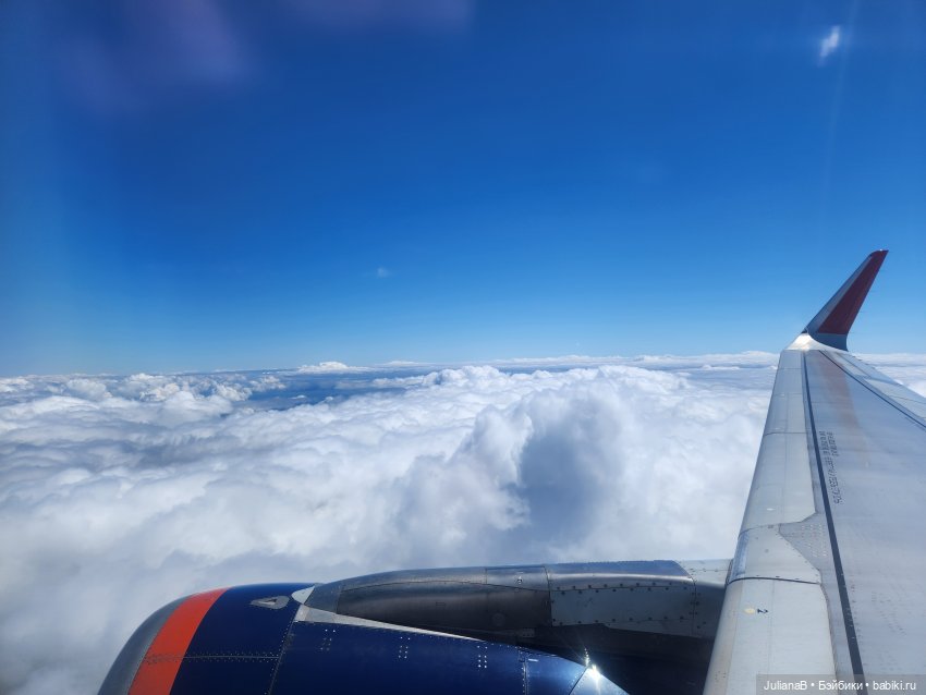 Мышь лабораторная. Кольский полуостров