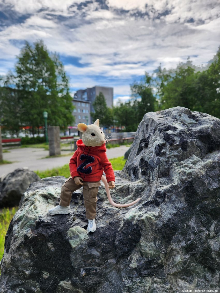 Мышь лабораторная. Кольский полуостров