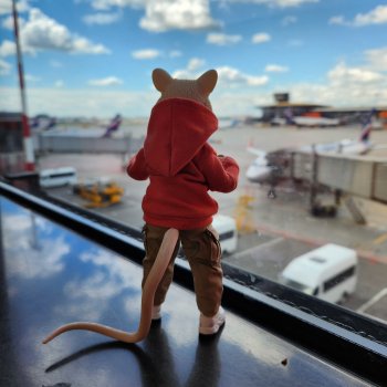 Мышь лабораторная. Кольский полуостров