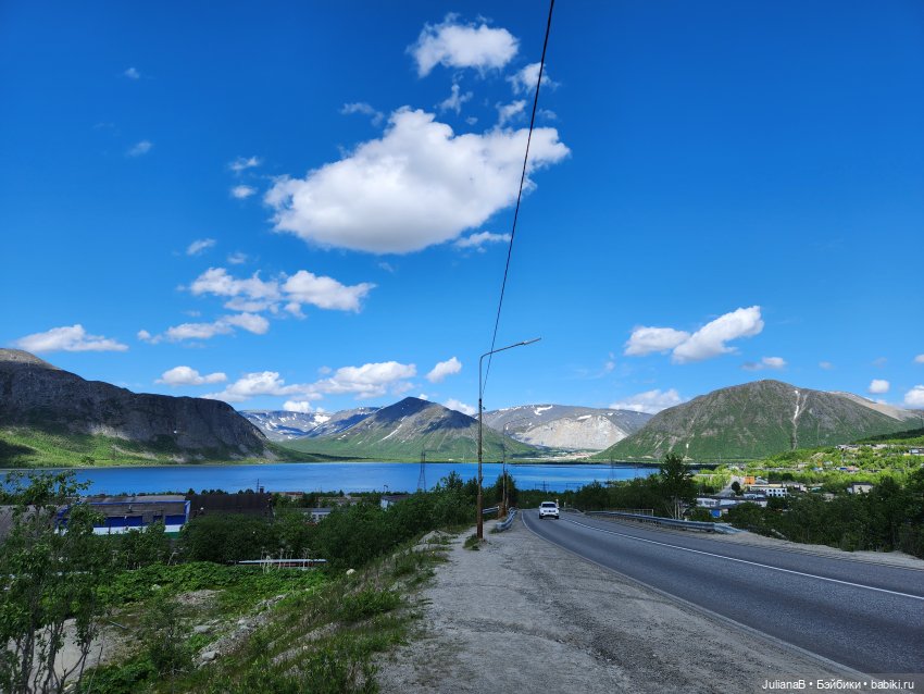 Мышь лабораторная. Кольский полуостров 2 (фото 8)