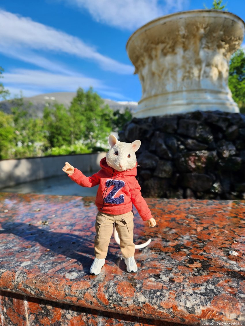 Мышь лабораторная. Кольский полуостров 2 (фото 4)