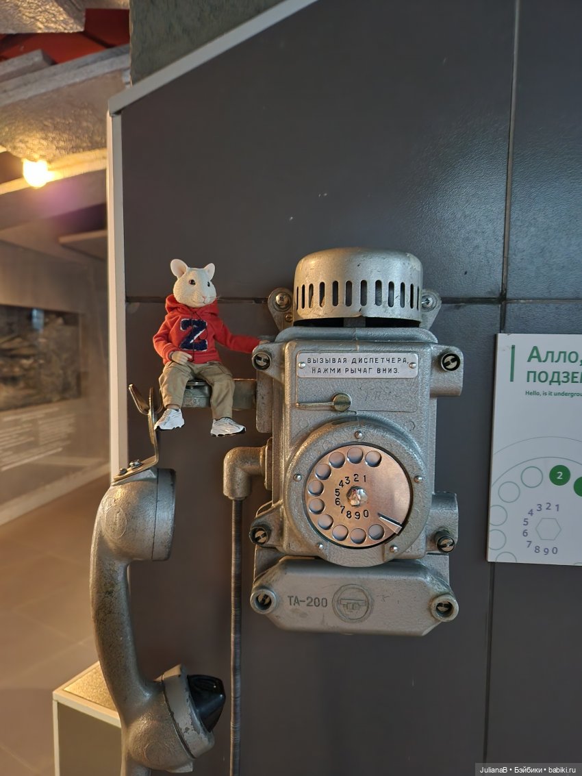 Мышь лабораторная. Кольский полуостров 2