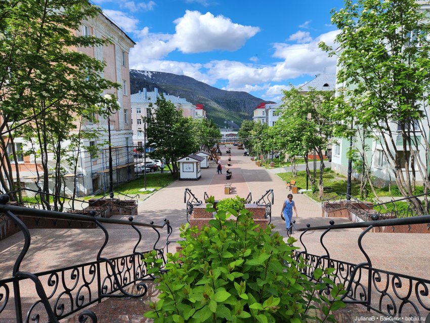 Мышь лабораторная. Кольский полуостров 2 (фото 7)