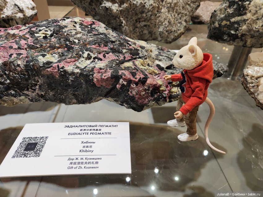 Мышь лабораторная. Кольский полуостров 2