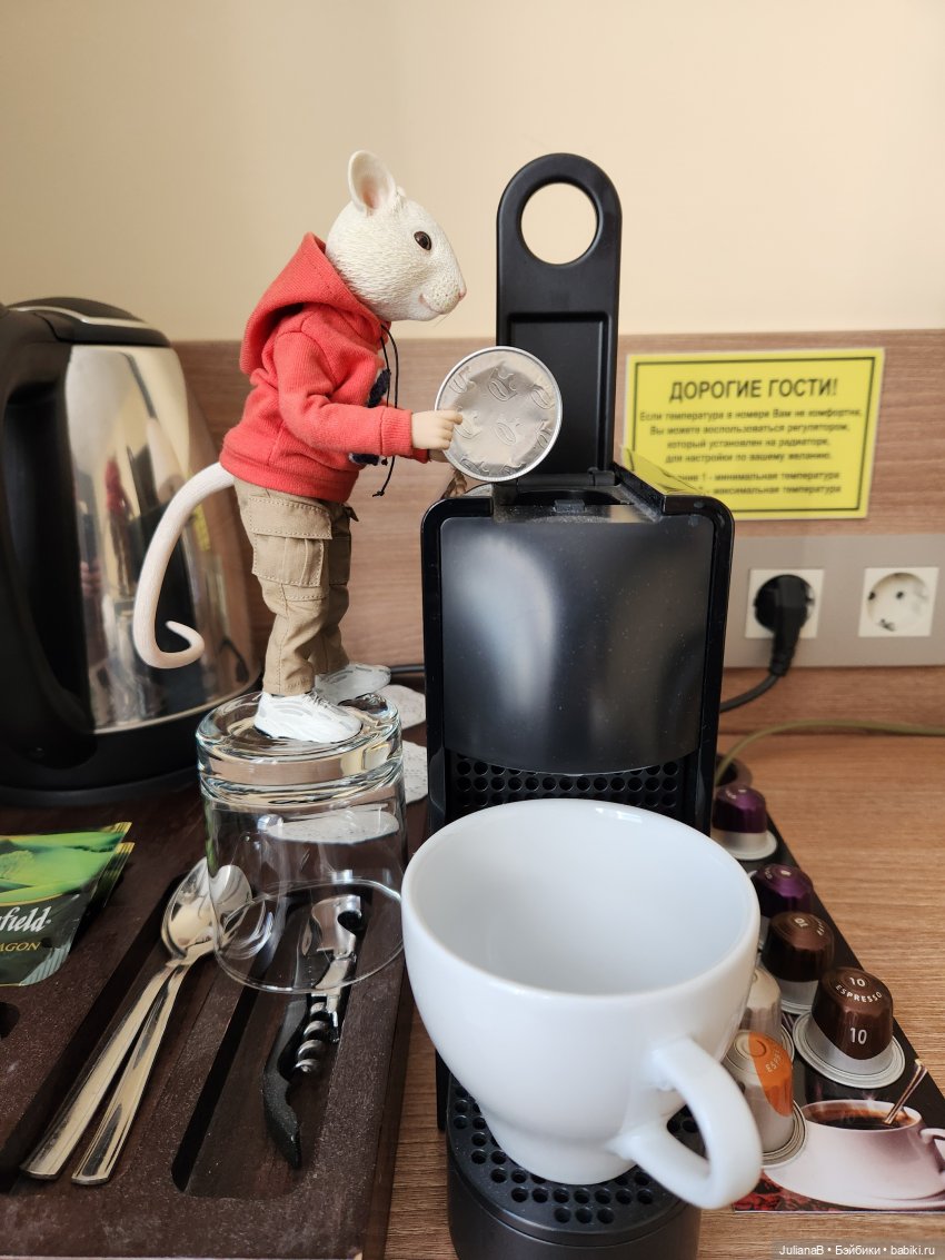 Мышь лабораторная. Кольский полуостров 2