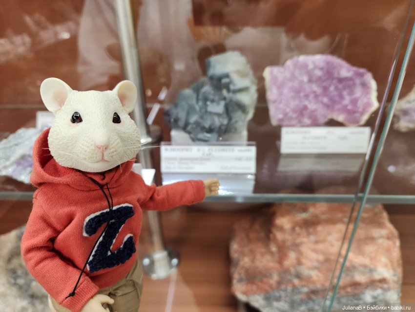 Мышь лабораторная. Кольский полуостров 2