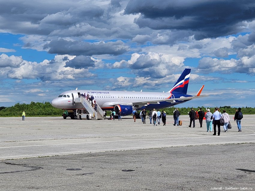Мышь лабораторная. Кольский полуостров 2