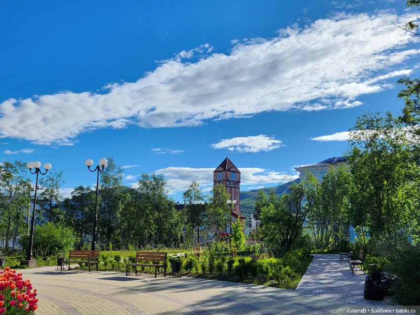 Мышь лабораторная. Кольский полуостров 2 (фото 5)