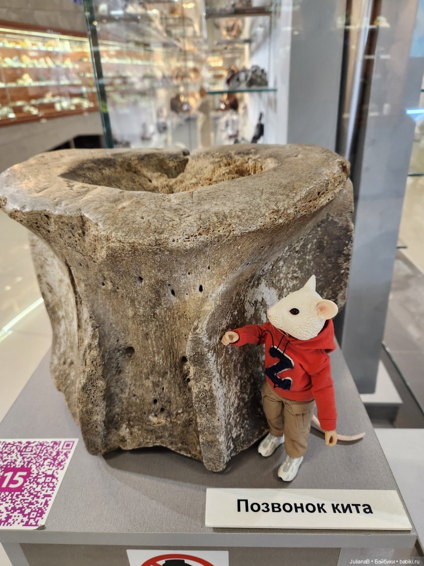 Мышь лабораторная. Кольский полуостров 2