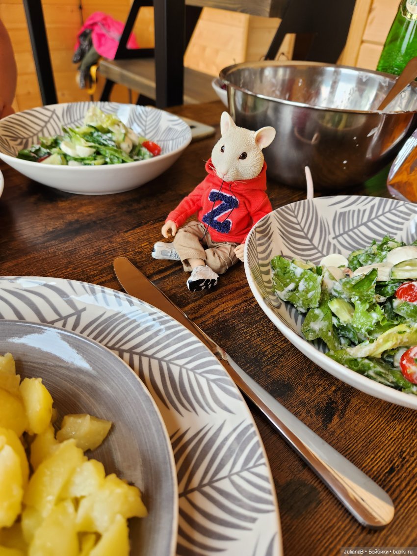 Мышь лабораторная. Выходной