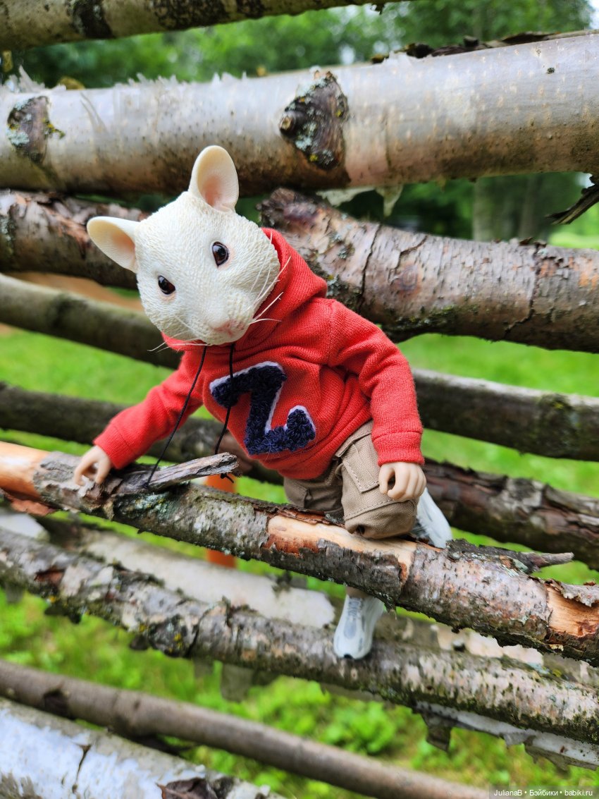 Мышь лабораторная. Выходной (фото 9)