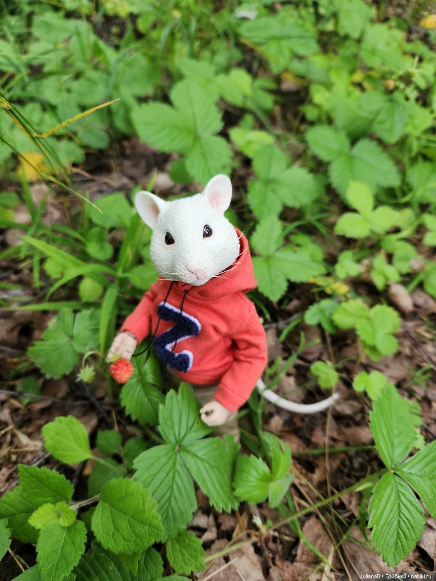 Мышь лабораторная. Выходной (фото 4)