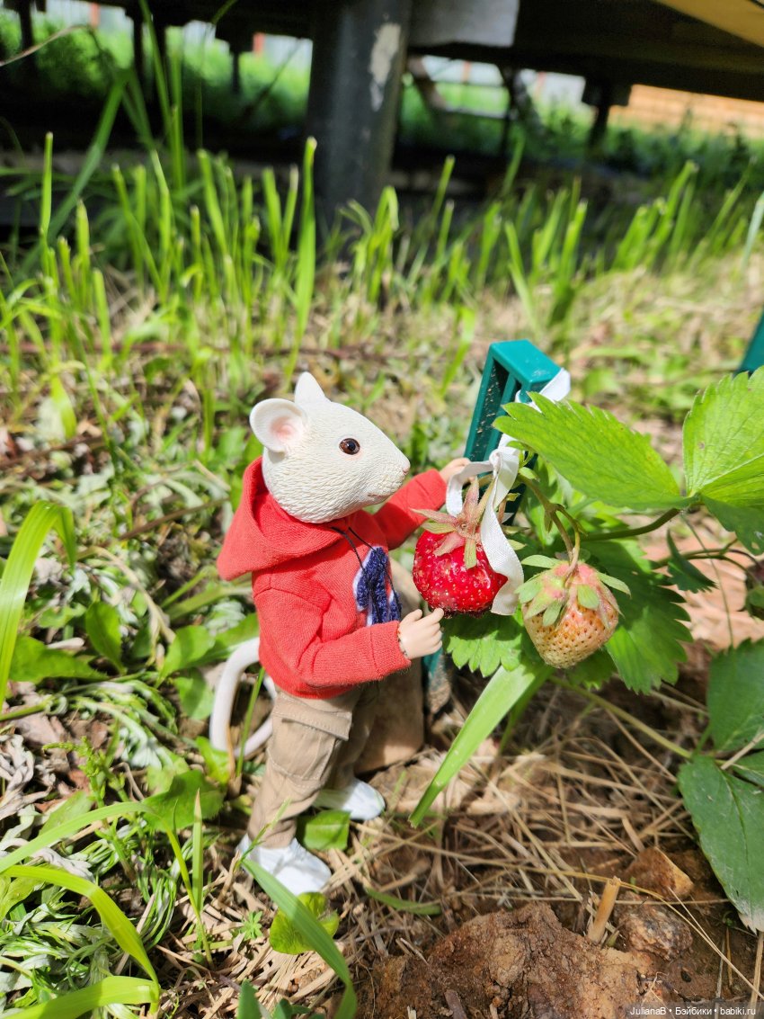 Мышь лабораторная. Выходной (фото 5)