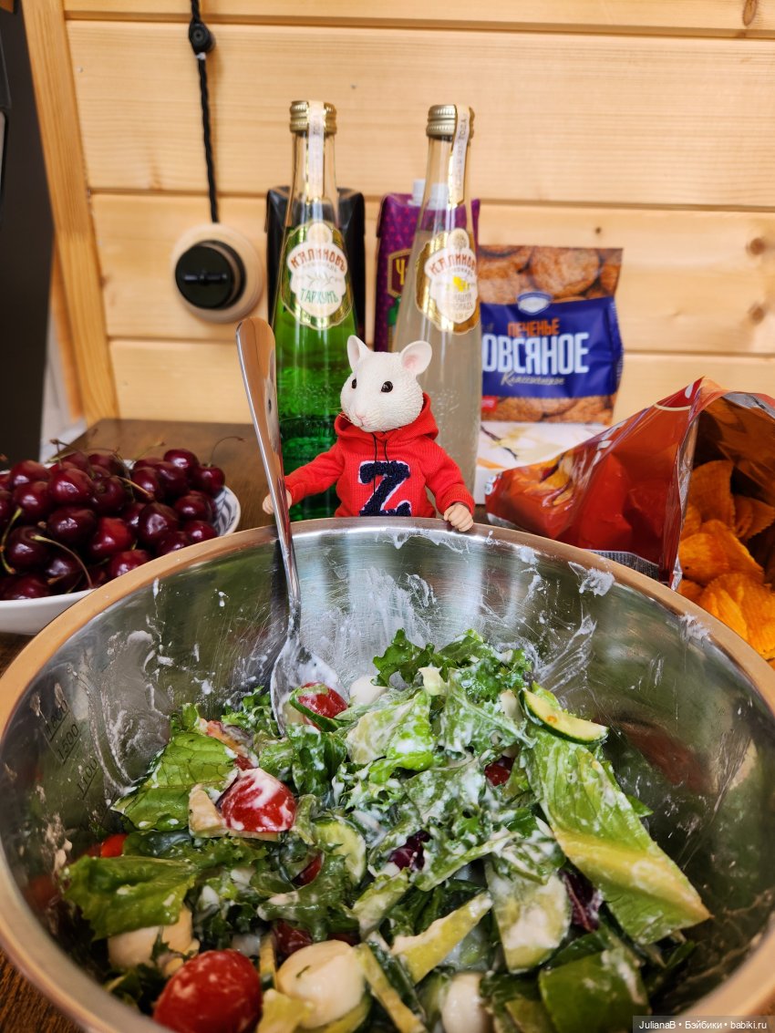 Мышь лабораторная. Выходной