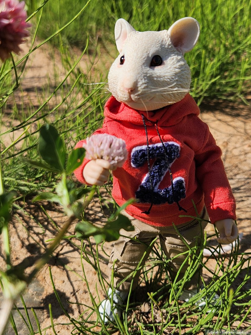 Мышь лабораторная. Выходной