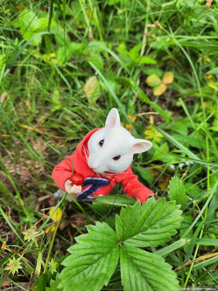 Мышь лабораторная. Выходной (фото 3)