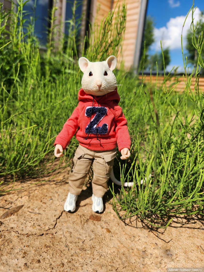 Мышь лабораторная. Выходной