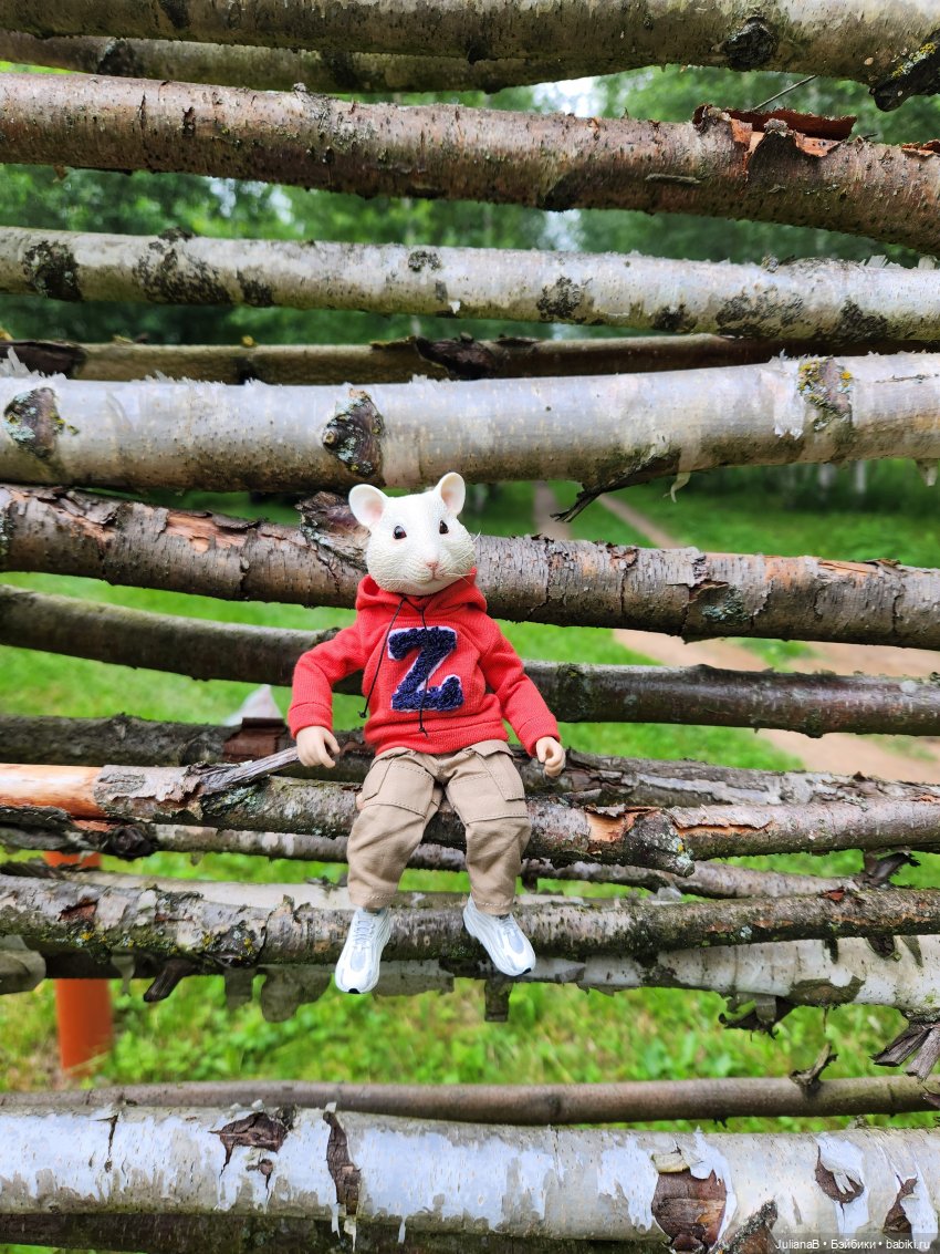 Мышь лабораторная. Выходной (фото 10)