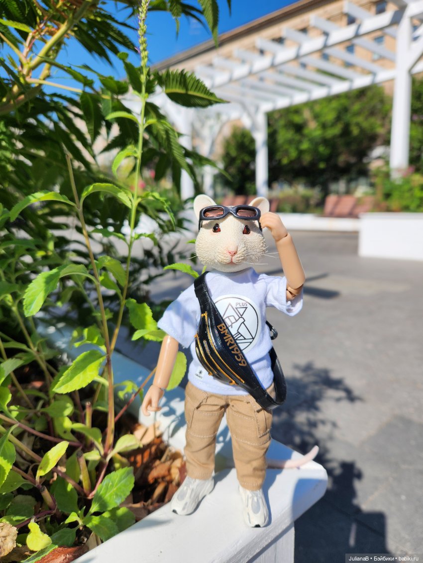 Мышь лабораторная. Лето в Москве (фото 2)