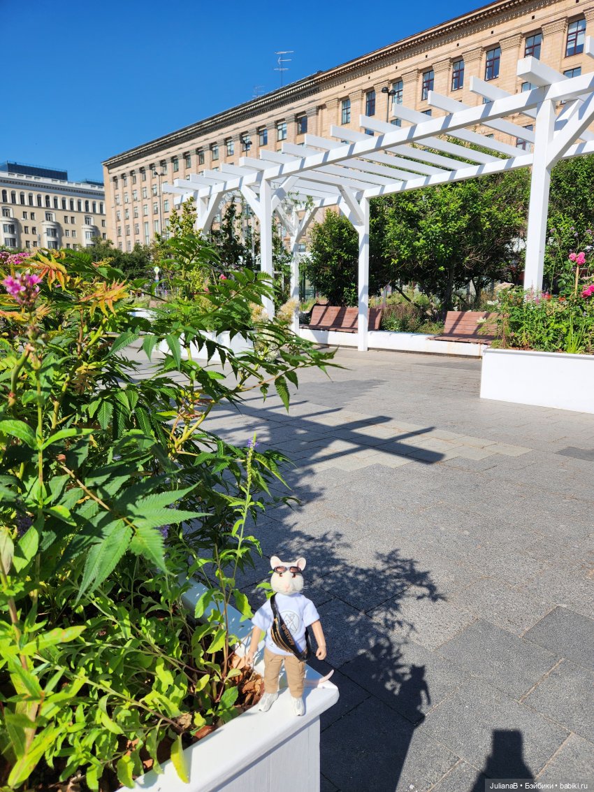 Мышь лабораторная. Лето в Москве