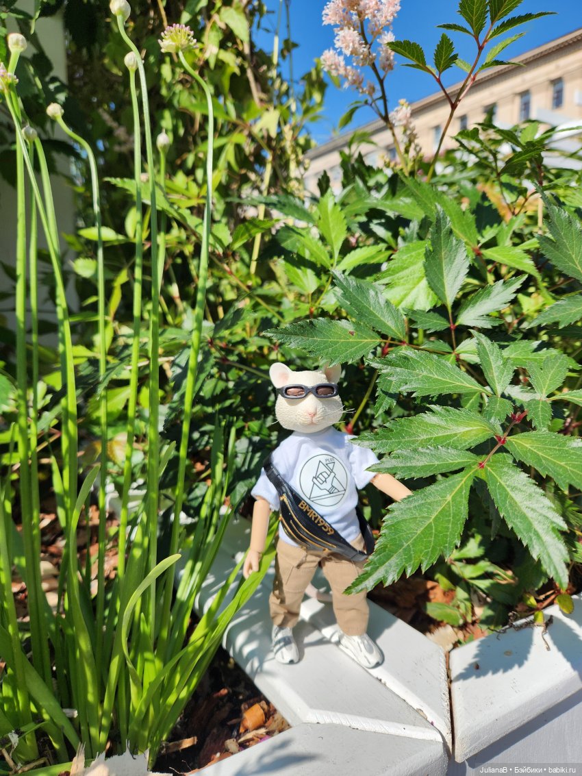 Мышь лабораторная. Лето в Москве (фото 5)