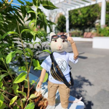 Мышь лабораторная. Лето в Москве