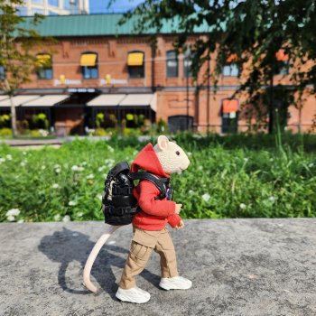 Мышь лабораторная. В путь в путь в путь