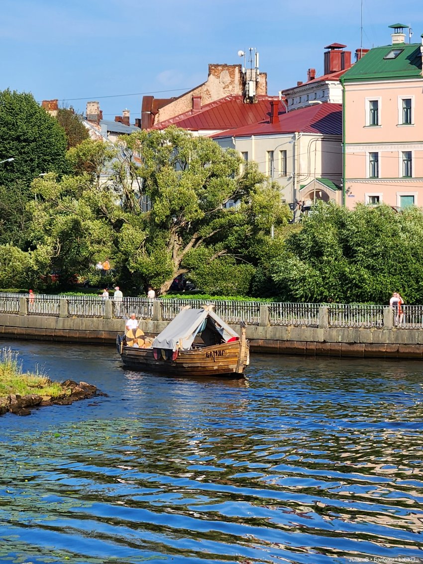 Мышь лабораторная. Выборг (фото 6)