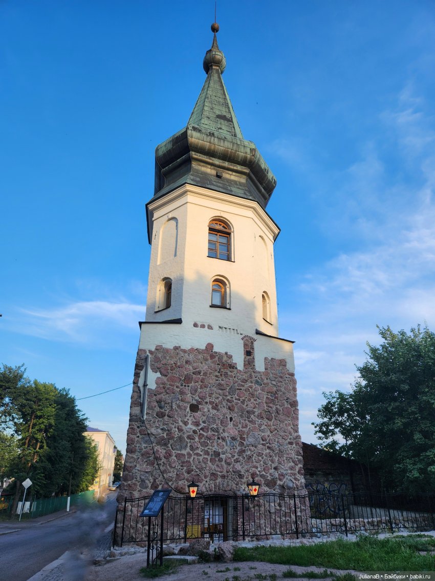 Мышь лабораторная. Выборг